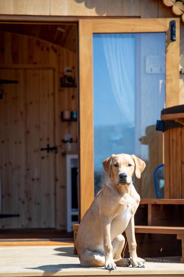 Barnhorn Glamping Villa Hooe Екстериор снимка